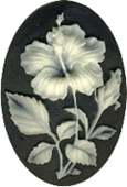 Kelmscott Designs Needle Minder - Hibiscus on Black MAIN