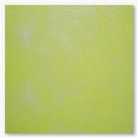 Picture This Plus Hand-Dyed Kermit 14ct Aida MAIN