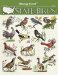 Book 521 State Birds SWATCH