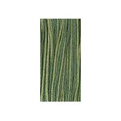 Weeks Dye Works Overdyed Floss 2166 Bayberry THUMBNAIL