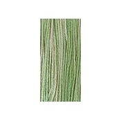 Weeks Dye Works Overdyed Floss 2181 Cactus MAIN