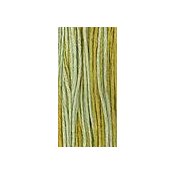 Weeks Dye Works Overdyed Floss 2206 Pistachio THUMBNAIL