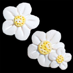 Magnets - May White Flowers MAIN