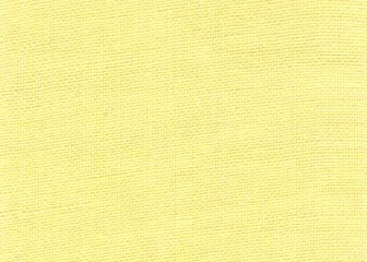 Mill Hill Stitch Band - Simplicity 27ct Celery 4.7" wide MAIN