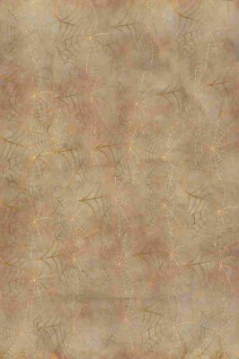 Fabric Flair Mocha Parchment Webs Aida 14ct MAIN