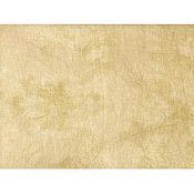 Picture This Plus Hand-Dyed Earthen 14ct Aida MAIN