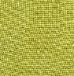 Picture This Plus Hand-Dyed Kermit 28ct Cashel Linen (Fat Quarter - 18" x 26") MAIN