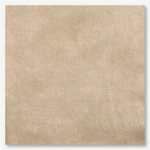Picture This Plus Hand-Dyed Legacy 36ct Edinburgh Linen MAIN