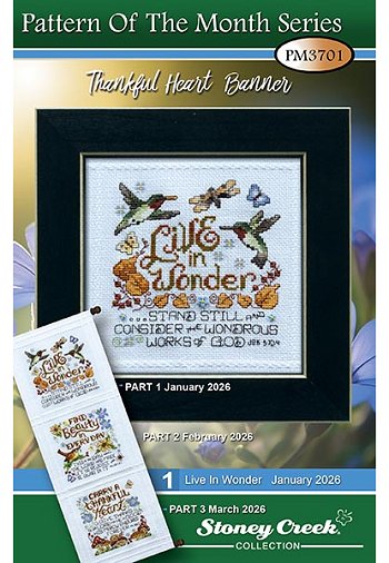 January 2026 Pattern of the Month "Live In Wonder" MAIN