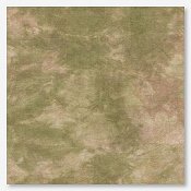 Picture This Plus Hand-Dyed Veldt 14ct Aida THUMBNAIL