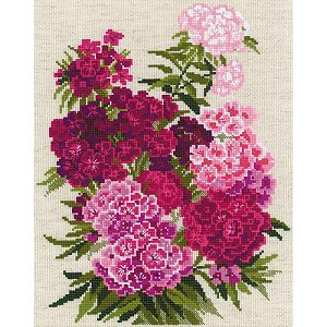 Riolis Cross Stitch Kit - Sweet William MAIN