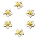 Button - White Flower Head, Small - Set of 6 MAIN