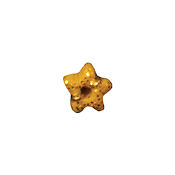 Button - Brass Star, Extra Small MAIN