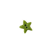 Button - Green Cosmic Star, Small/Medium MAIN