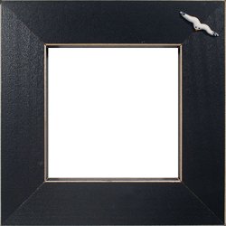 Button Frame - Seagull 4x4 Black MAIN