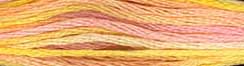 DMC Color Variations 4100 Summer Breeze THUMBNAIL