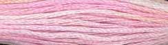 DMC Color Variations 4170 Whispering Wind MAIN