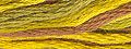 Valdani Hand Overdyed Thread Backyard Honeycomb MAIN
