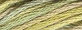 Valdani Hand Overdyed Thread Distant Grass MAIN
