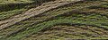Valdani Hand Overdyed Thread Olive Green MAIN