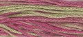 Weeks Dye Works Overdyed Floss 1126 Coleus MAIN