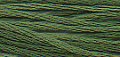 Weeks Dye Works Overdyed Floss 2168 Monkey Grass MAIN