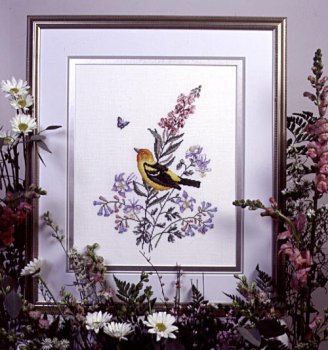 Crossed Wing Collection - Western Tanager MAIN