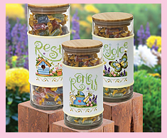 Spring Jar Set