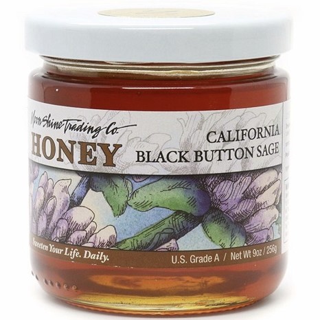California Black Button Sage THUMBNAIL