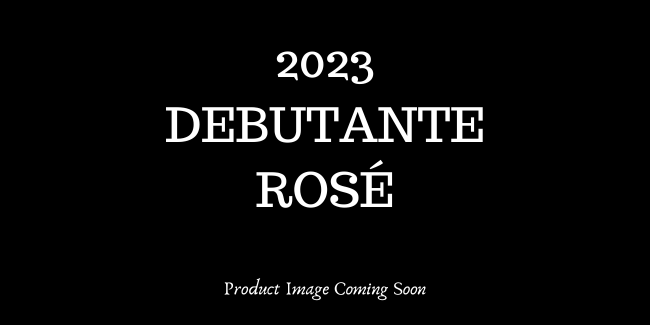 2023 Shenandoah Valley Debutante Rose THUMBNAIL
