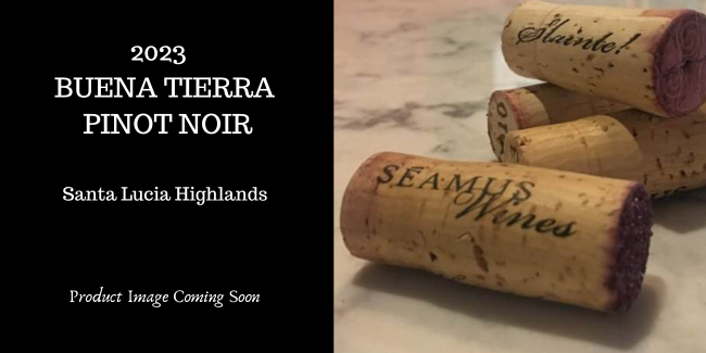 2023 Buena Tierra Pinot Noir MAIN