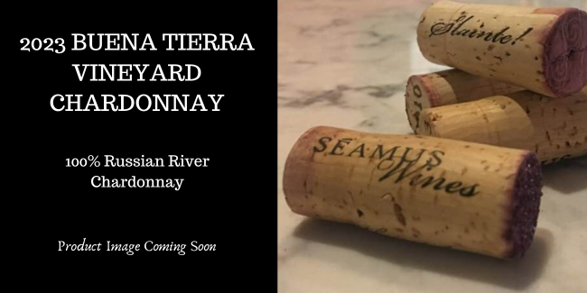 2023 Buena Tierra Vineyard Chardonnay MAIN