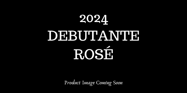 2024 Shenandoah Valley Debutante Rose THUMBNAIL
