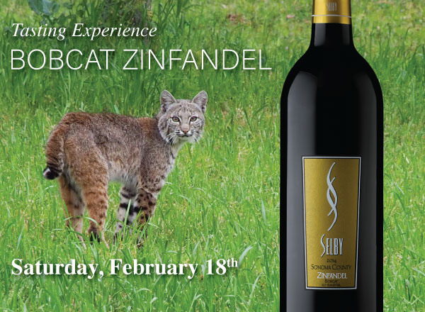 Bobcat Party 2023 MAIN