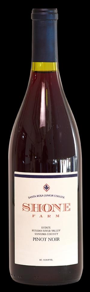 2016  Pinot Noir, Estate LARGE