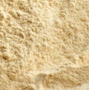 Garlic Powder LARGE
