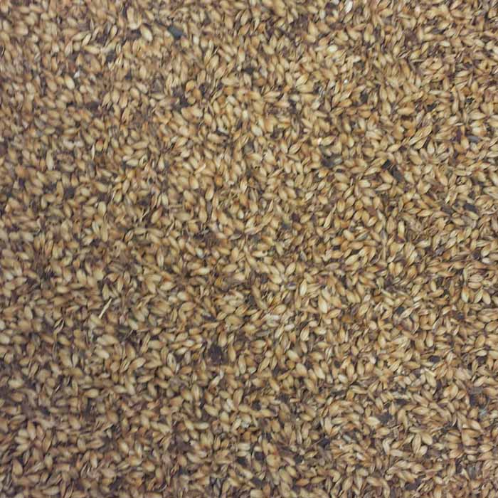 Briess Caramel 10L LARGE