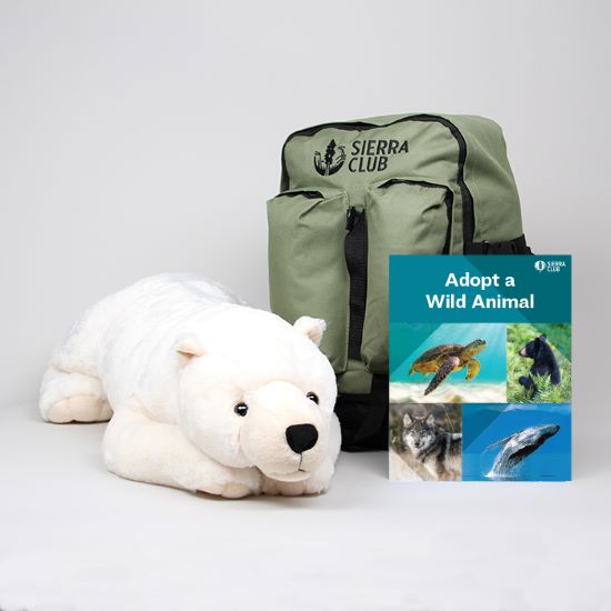 Adopt a Wild Animal Jumbo Polar Bear Set LARGE