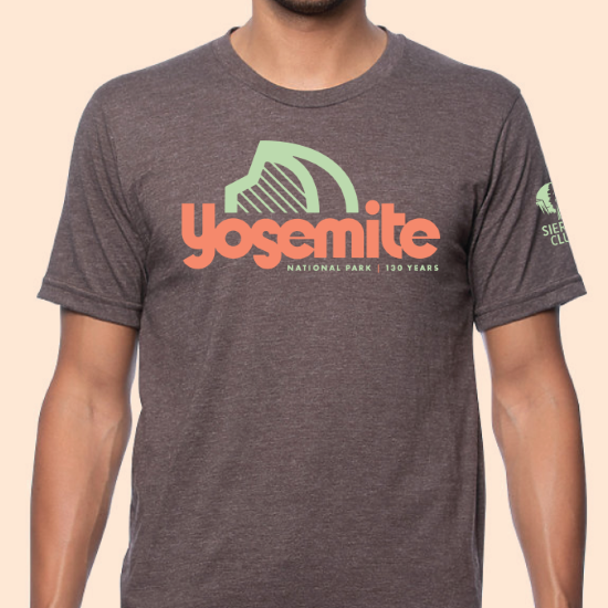 yosemite t shirt brandy