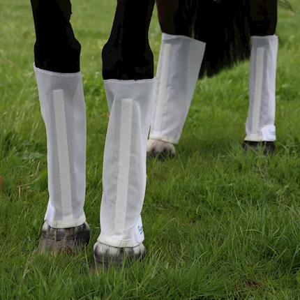 ARMA Mesh Fly Boots THUMBNAIL