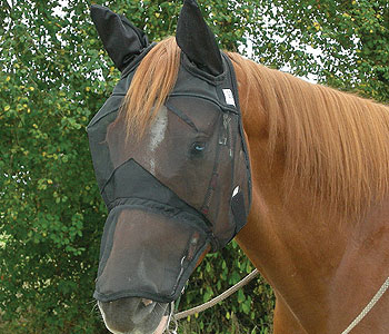 Cashel Quiet Ride Long Nose With Ears Fly Mask MAIN