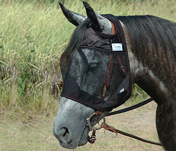 Cashel Quiet Ride No Ears Fly Mask MAIN