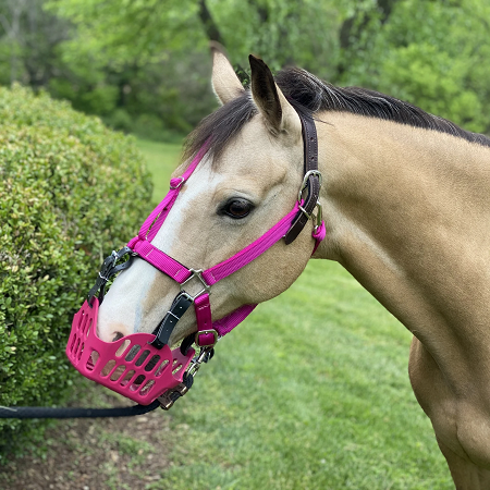 Green Guard Premium Halter LARGE