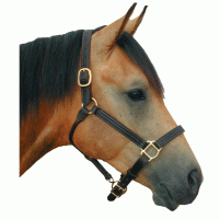 Leather Track Halter THUMBNAIL