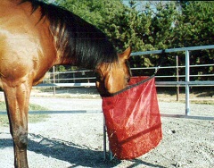 Trail-Rite Hay Feeder MAIN