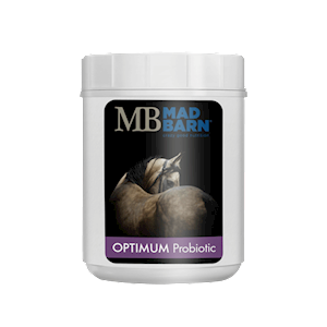 Mad Barn Optimum Probiotic LARGE