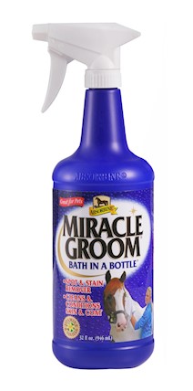 Miracle Groom THUMBNAIL