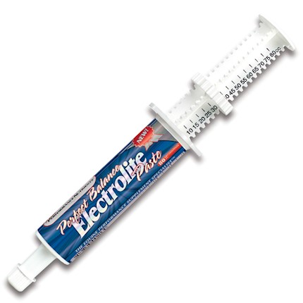 Perfect Balance Electrolyte Paste THUMBNAIL