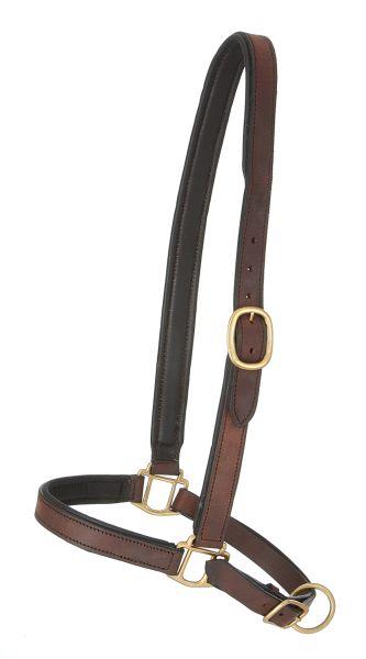 Leather Grooming Halter MAIN