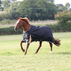 Highlander Plus 200g Standard Neck Turnout Blanket LARGE